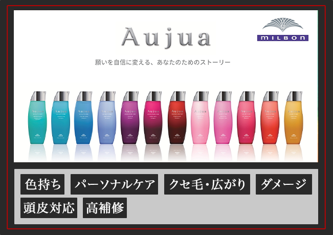 プレミアムTR1