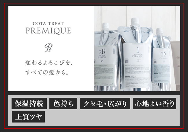 プレミアムTR6